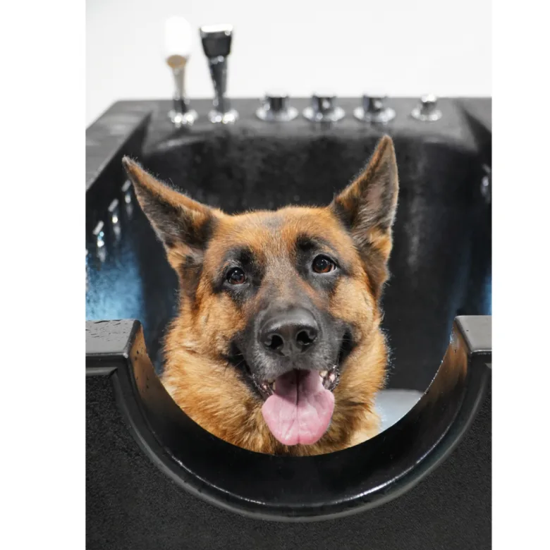 German shepherd in a black portable dog spa tub with grooming fixtures in the background