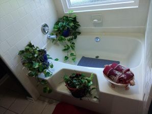 Tub to Walk-in Shower Conversion done for Senior Safety in Elmore, AL(Charlie Jr, Mike, and Landon) (1)